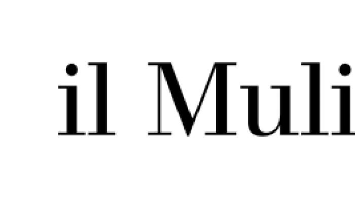 Il Mulino